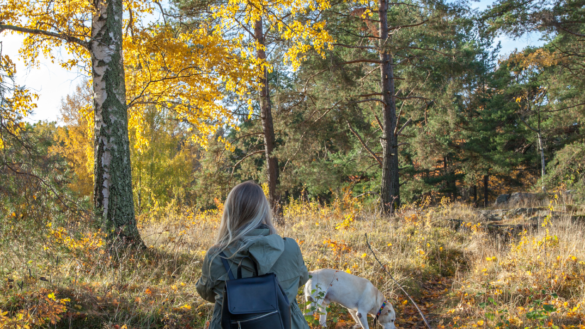 Att leva med Addisons sjukdom: Det kändes som jag inte togs på allvar